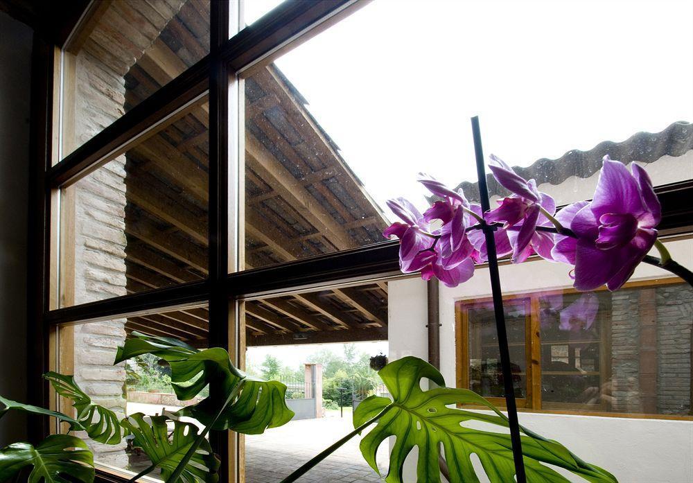 Hotel Moli De La Torre Bigues I Riells 외부 사진