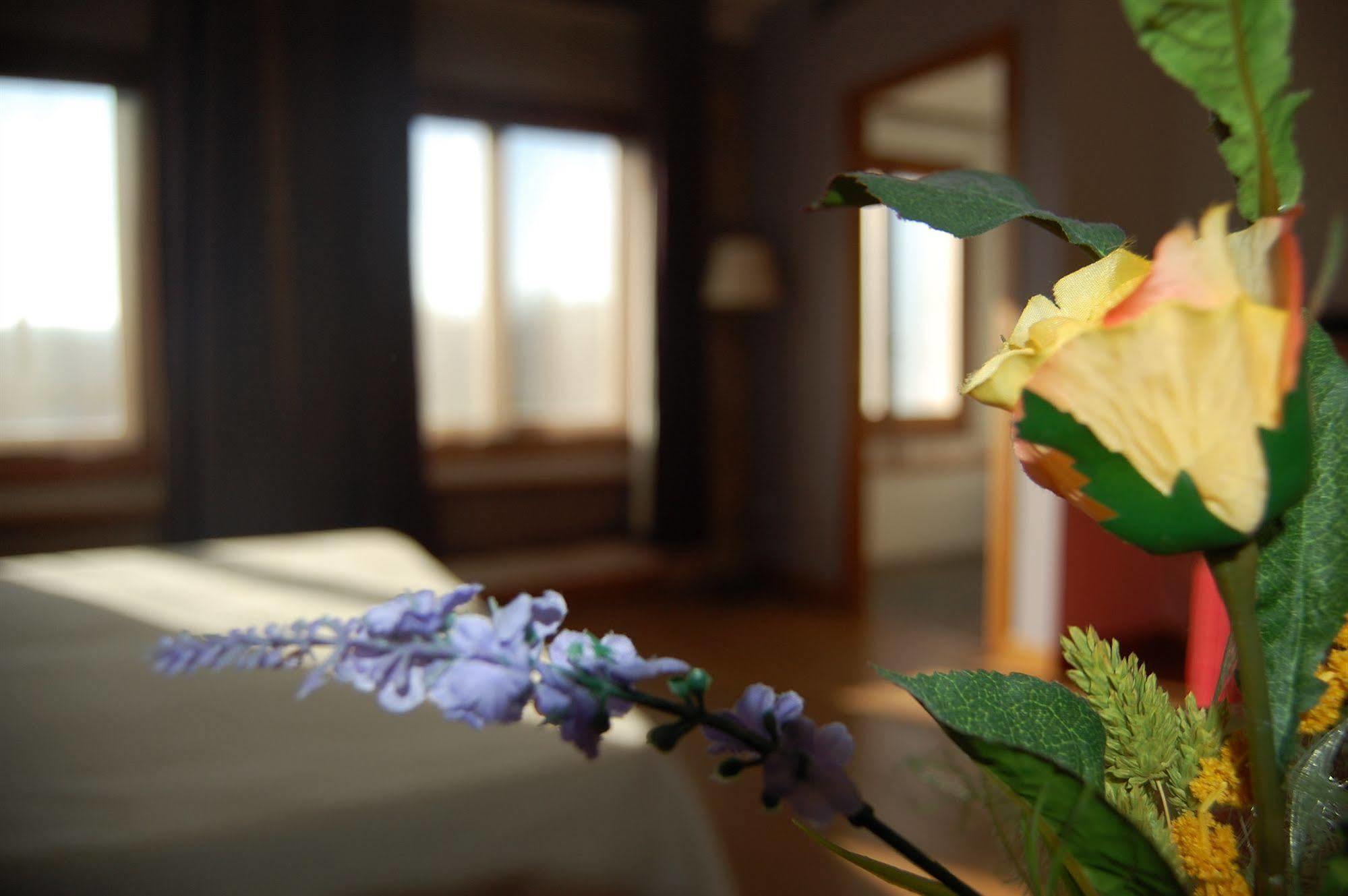 Hotel Moli De La Torre Bigues I Riells 외부 사진